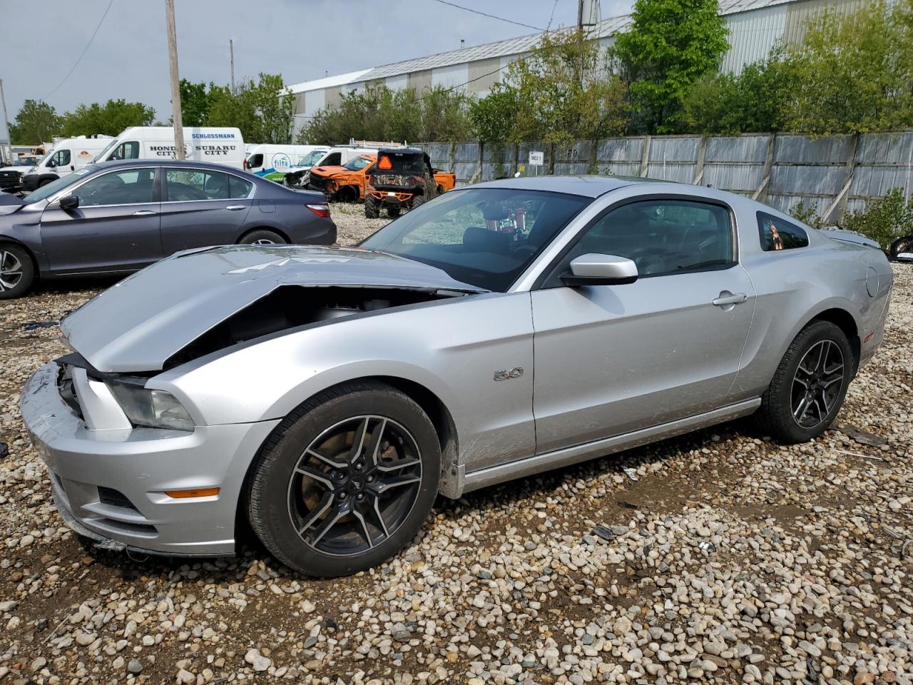 1ZVBP8CF4E5213463 2014 Ford Mustang Gt