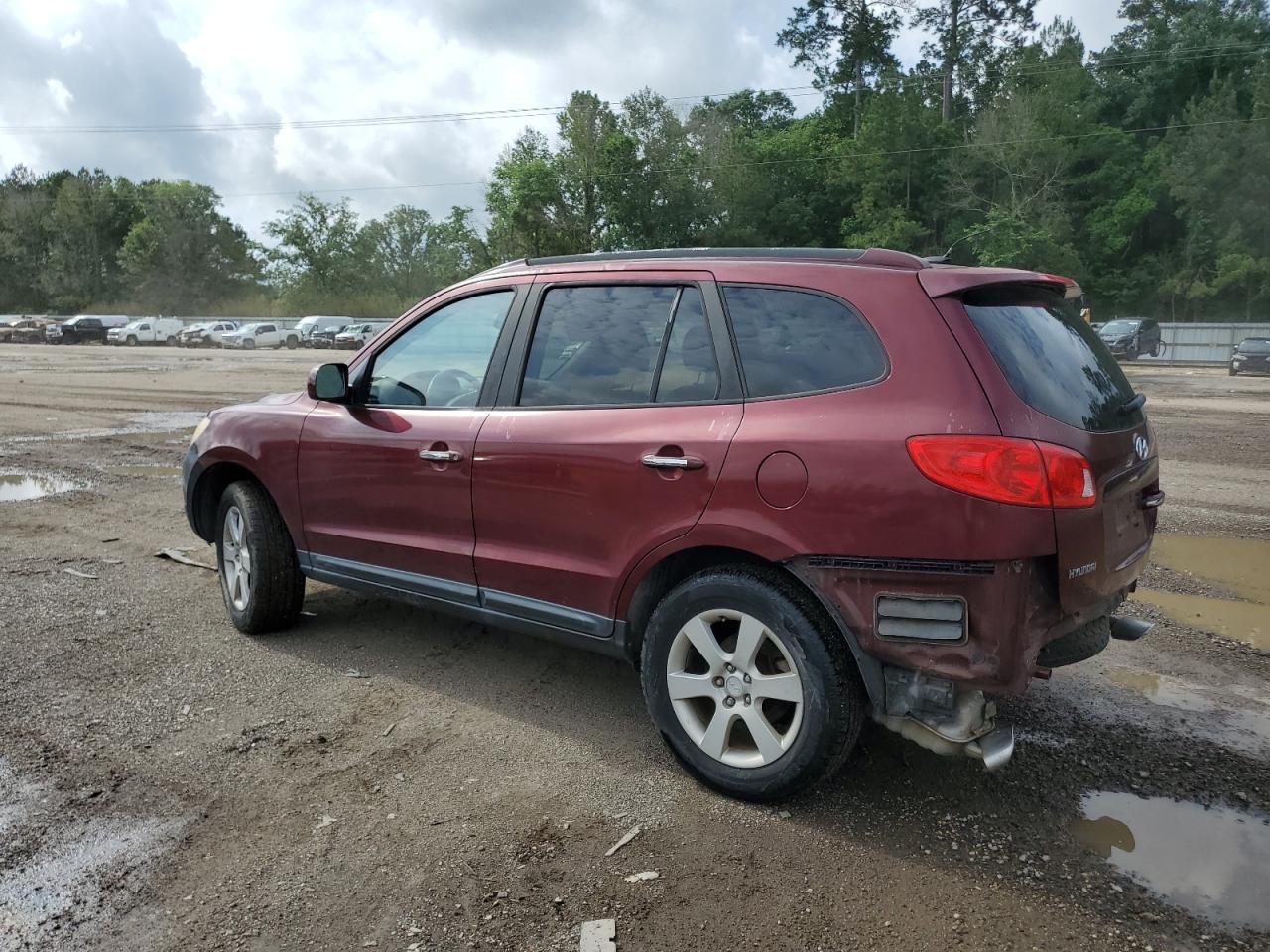 5NMSH13E29H240243 2009 Hyundai Santa Fe Se