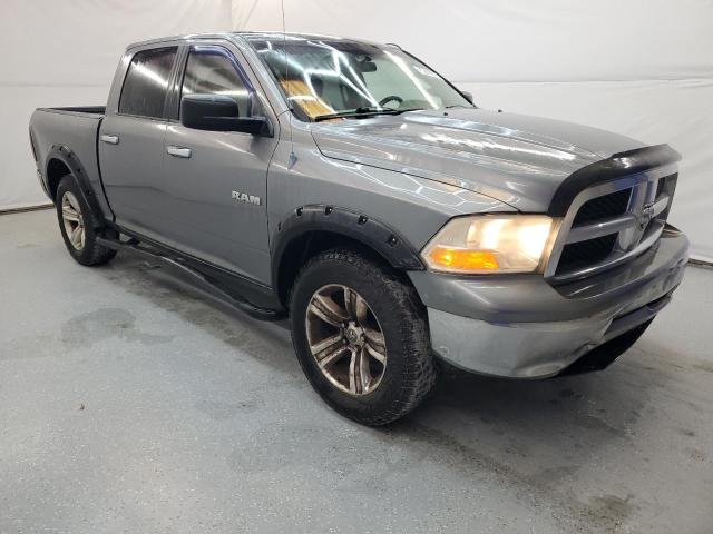 2010 Dodge Ram 1500 VIN: 1D7RB1CP1AS206293 Lot: 54161384