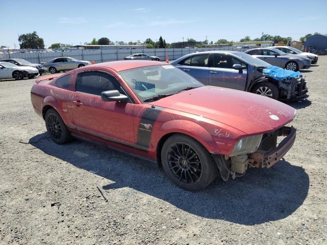 2006 Ford Mustang VIN: 1ZVFT80N765173292 Lot: 54040954