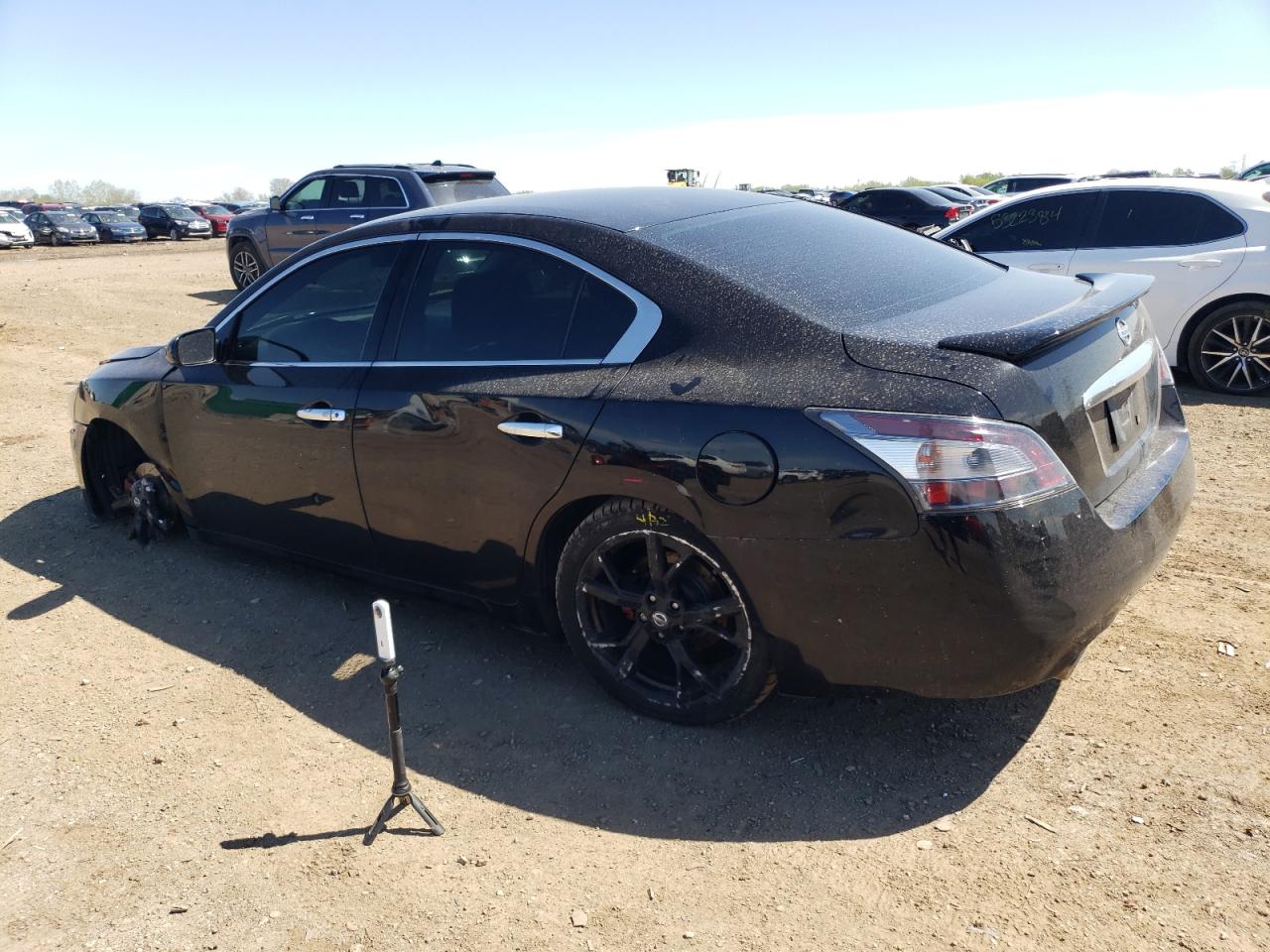 Lot #2556557862 2014 NISSAN MAXIMA S