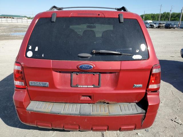 2011 Ford Escape Xlt VIN: 1FMCU9DGXBKA74350 Lot: 54641944