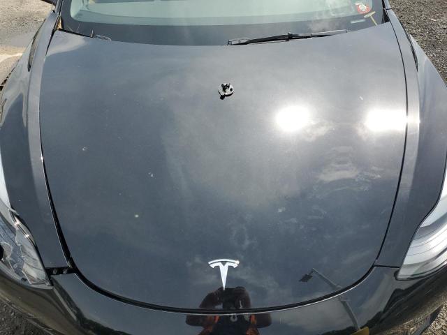 2023 Tesla Model 3 VIN: 5YJ3E1EA5PF598829 Lot: 55531444