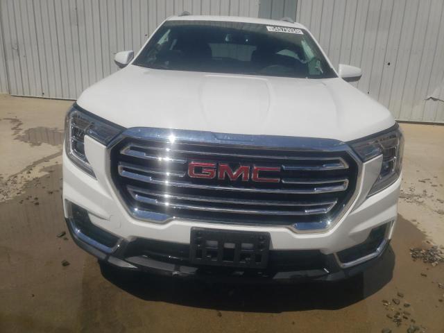 2024 GMC Terrain Slt VIN: 3GKALVEG6RL224568 Lot: 54579934