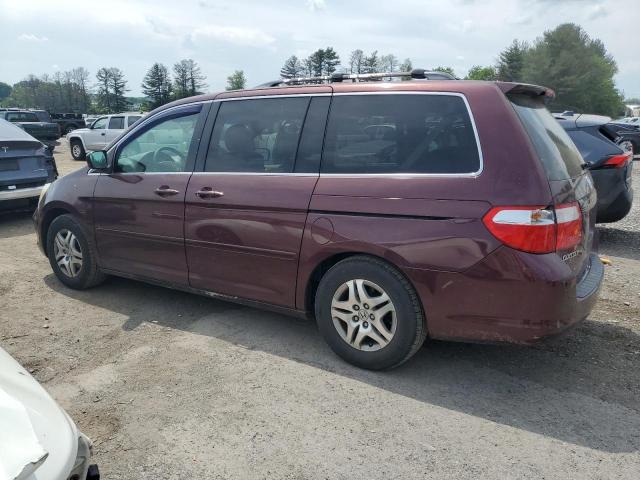 2007 Honda Odyssey Exl VIN: 5FNRL38607B418692 Lot: 56161694