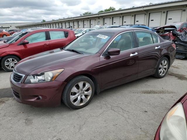 2010 Honda Accord Exl VIN: 5KBCP3F81AB007437 Lot: 54081254