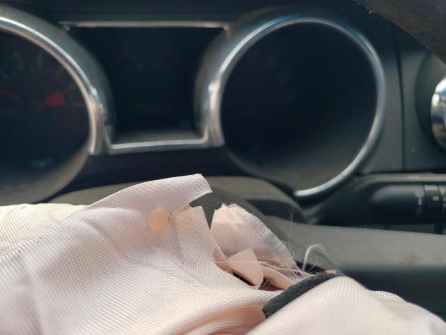 2006 Ford Mustang VIN: 1ZVFT80N865241230 Lot: 54791944