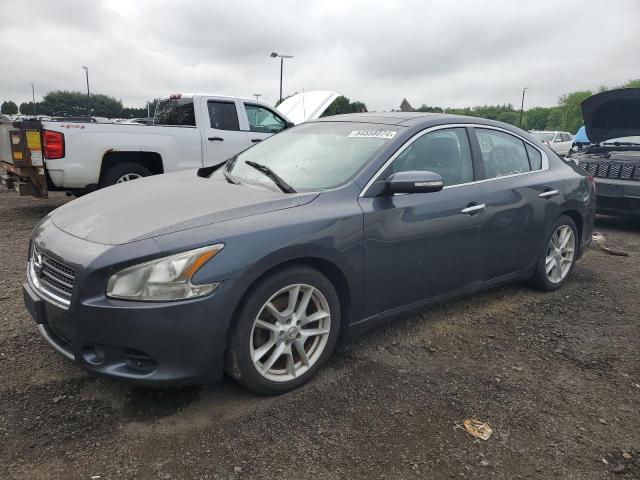 Lot #2537518721 2010 NISSAN MAXIMA S salvage car