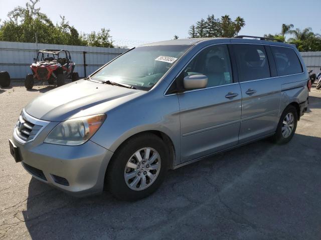 2009 Honda Odyssey Exl VIN: 5FNRL387X9B051716 Lot: 55753034