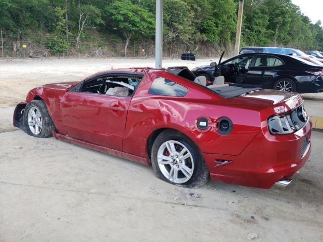 2013 Ford Mustang VIN: 1ZVBP8AM5D5268472 Lot: 53999564