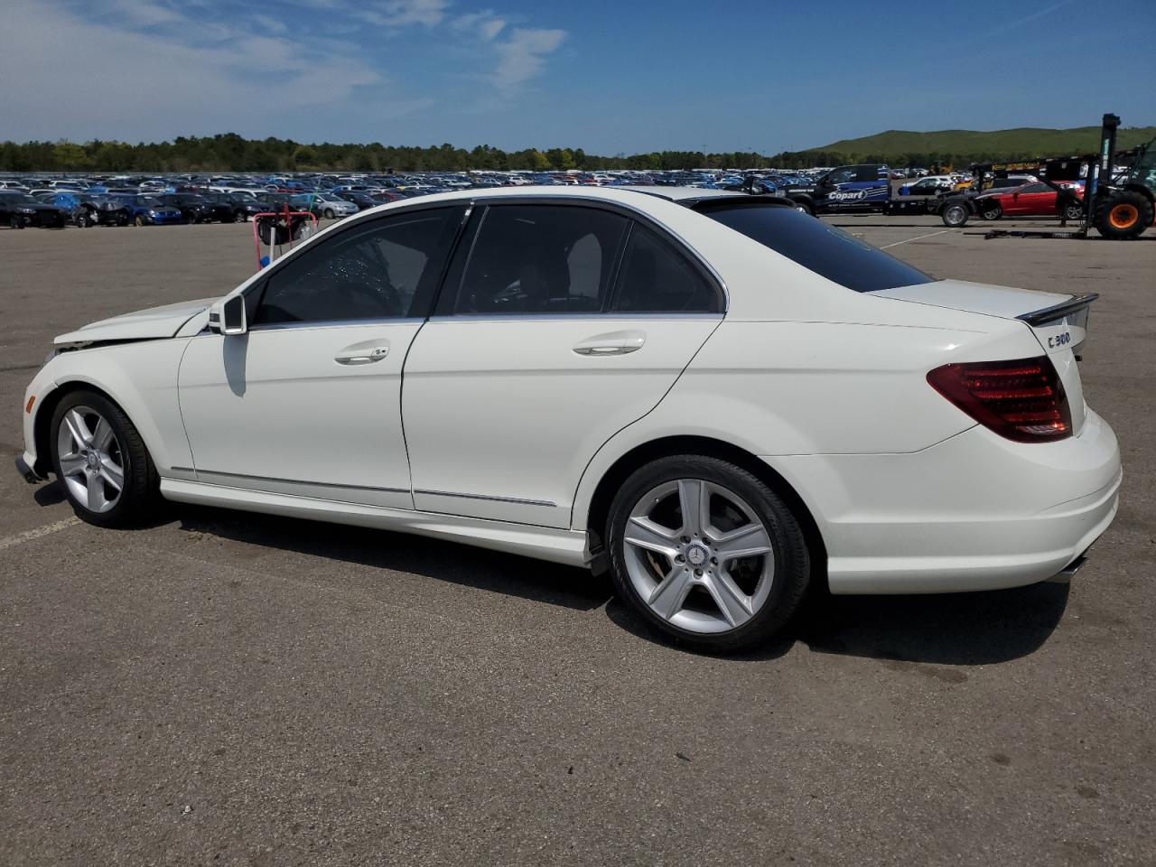 WDDGF5EB1AR091884 2010 Mercedes-Benz C 300