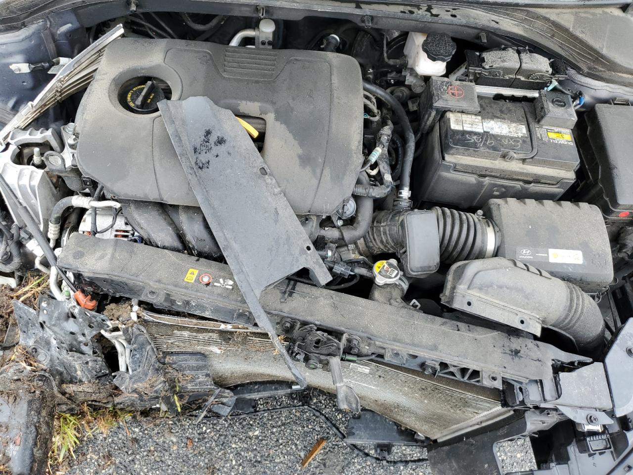 5NPD74LF1KH425432 2019 Hyundai Elantra Se