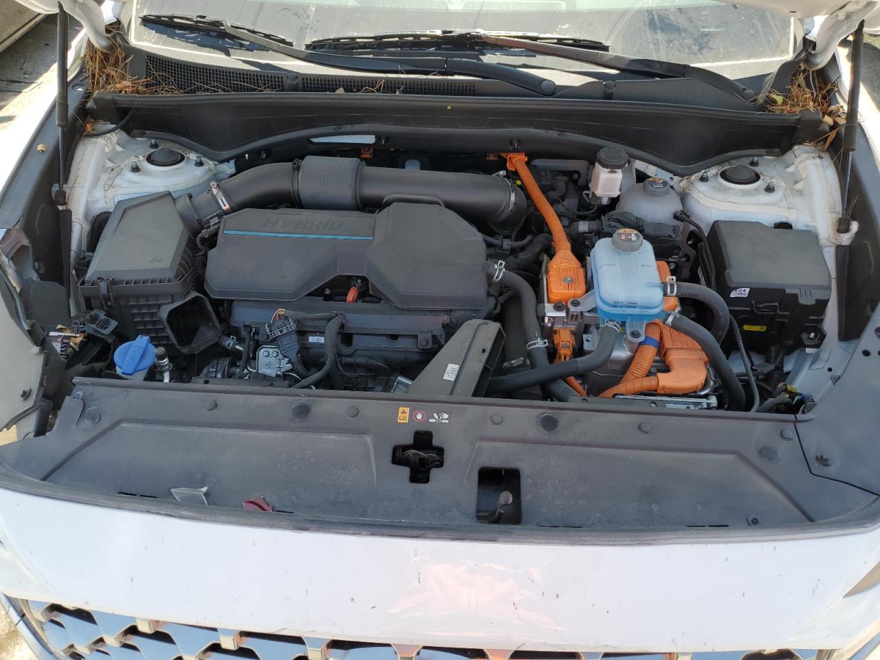 KM8S6DA24NU028474 2022 Hyundai Santa Fe Sel