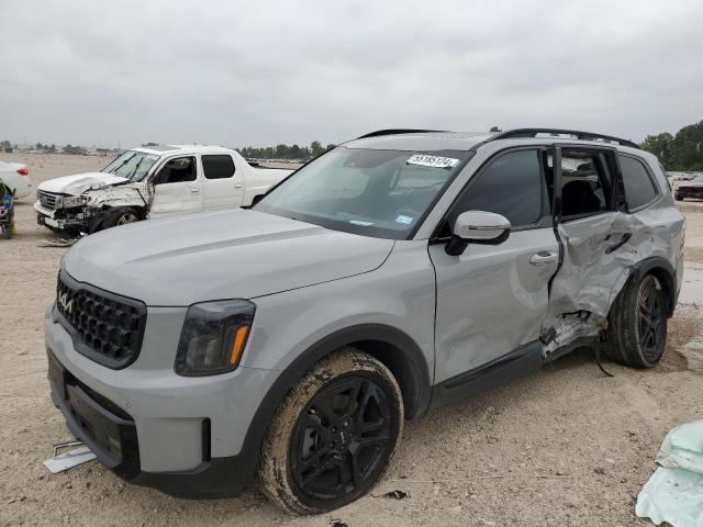 2024 Kia Telluride Sx VIN: 5XYP5DGC1RG430831 Lot: 55185124