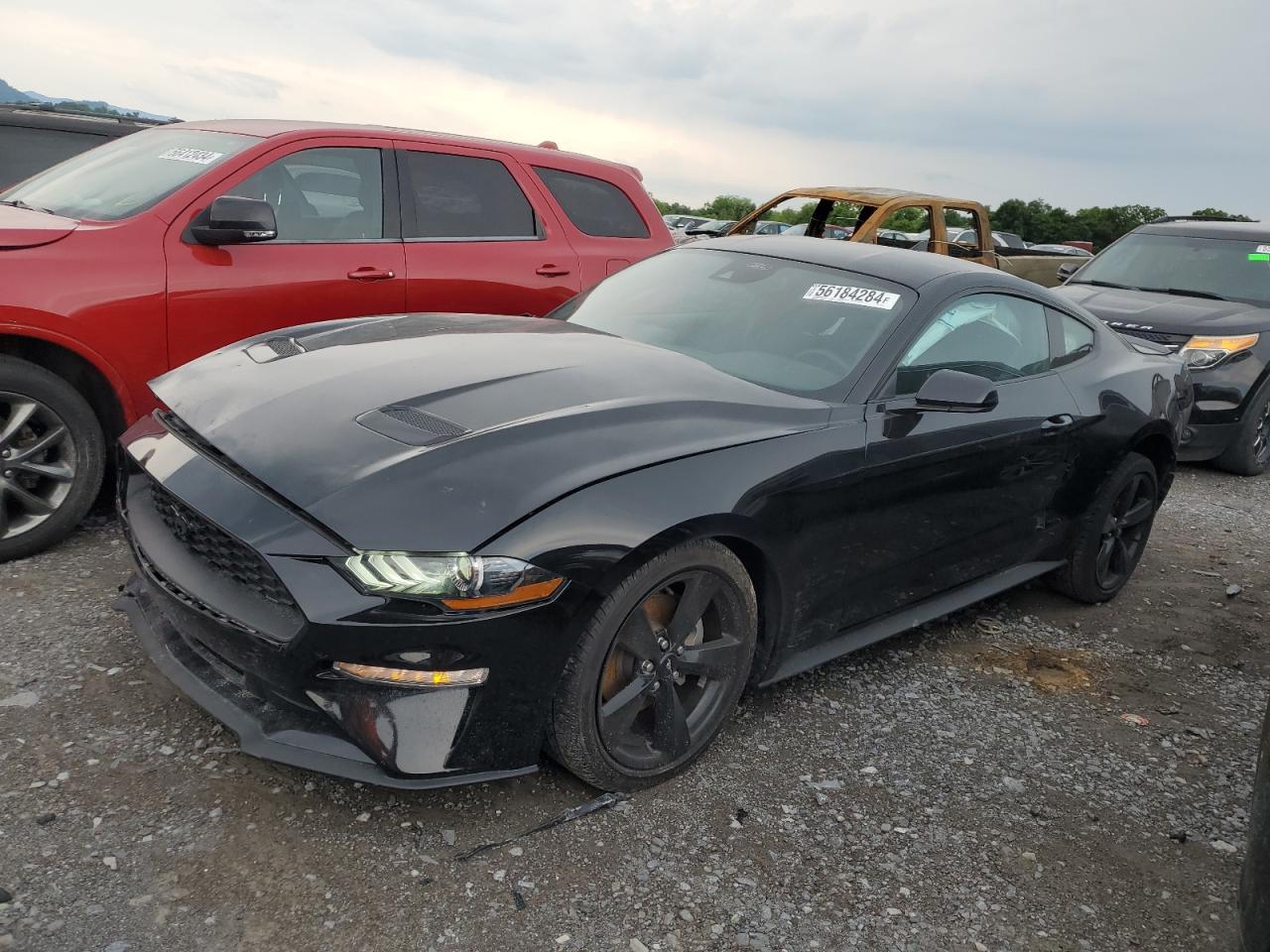 2023 Ford Mustang vin: 1FA6P8TH5P5101608