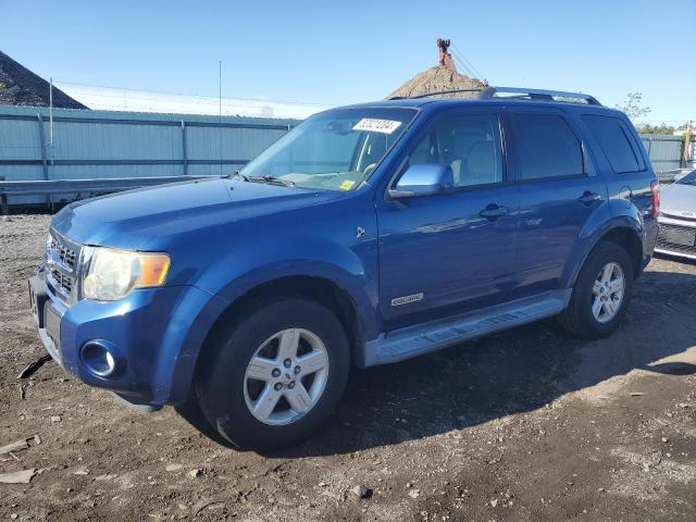 2008 Ford Escape Hev VIN: 1FMCU49H08KB59310 Lot: 52021204