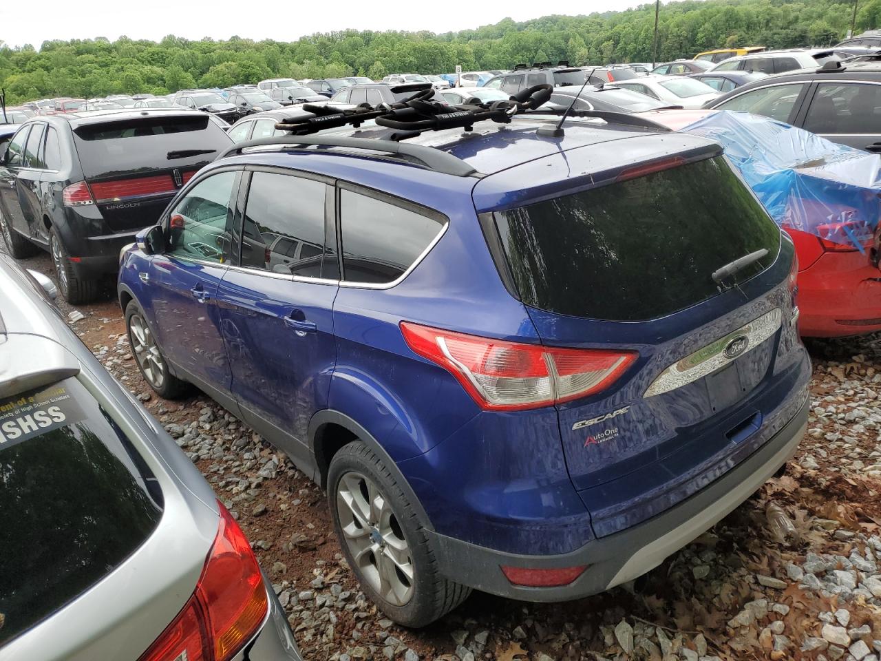 1FMCU0HX5DUB51557 2013 Ford Escape Sel