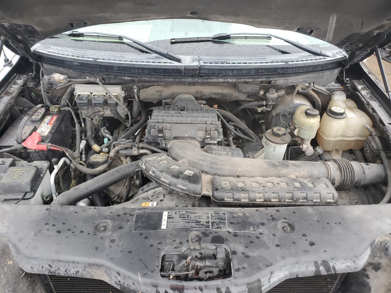 1FTPX12535NB58299 2005 Ford F150