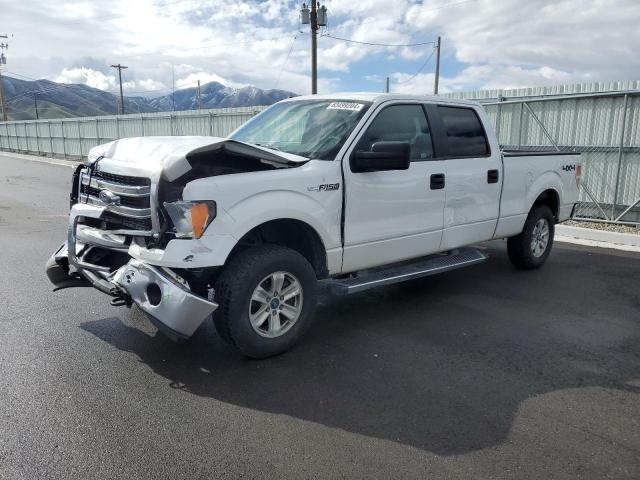 2013 Ford F150 Supercrew VIN: 1FTFW1EF2DFD71904 Lot: 53499204