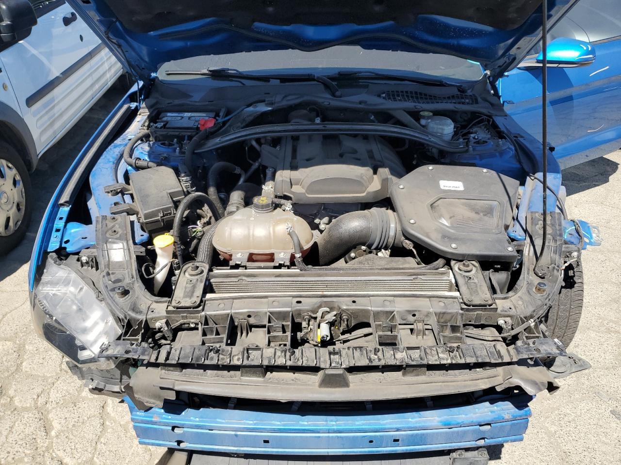 1FA6P8THXK5189855 FORD ALL Models 2019