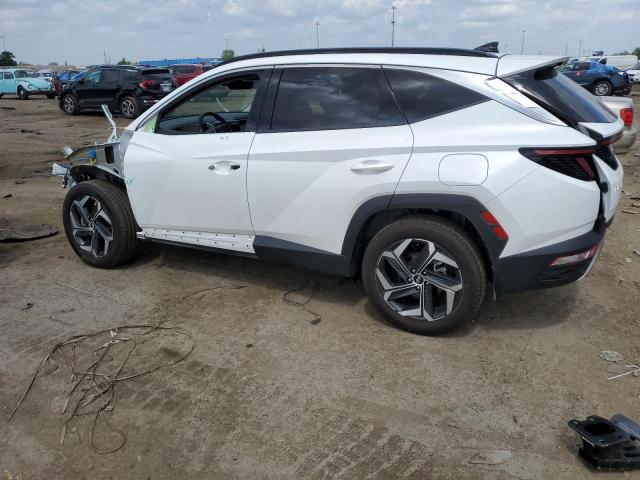 2022 Hyundai Tucson Limited VIN: 5NMJECAE4NH105939 Lot: 55374024