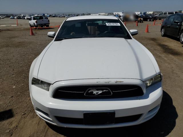 2014 Ford Mustang VIN: 1ZVBP8AM2E5259410 Lot: 54018704