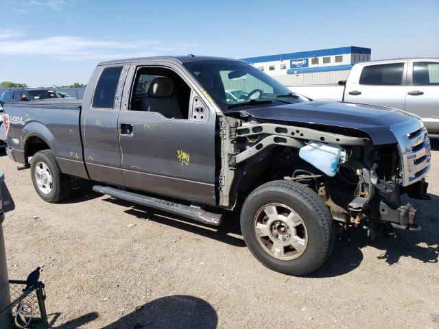 2010 Ford F150 Super Cab VIN: 1FTEX1E86AKE07882 Lot: 55386814