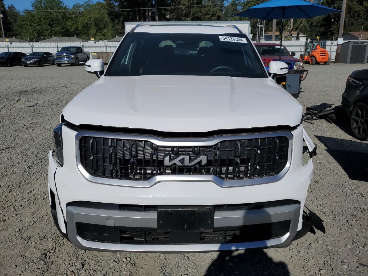 5XYP34GC2RG431167 2024 Kia Telluride Ex