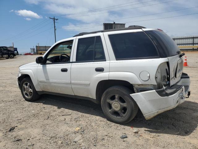 2006 Chevrolet Trailblazer Ls VIN: 1GNDT13S262359043 Lot: 55872434