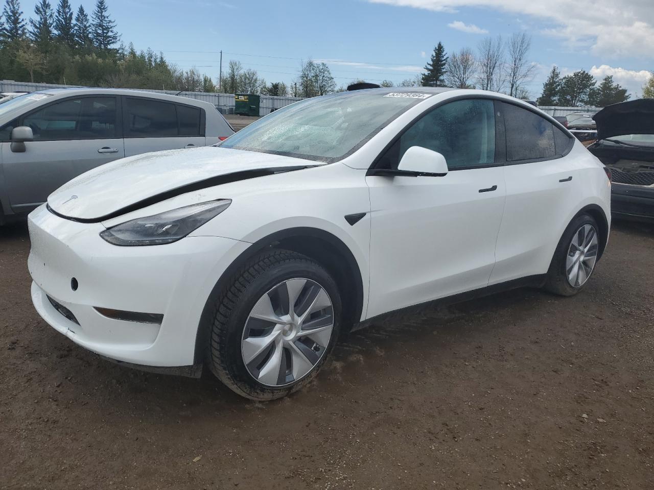 LRWYGDFD8PC967381 2023 Tesla Model Y