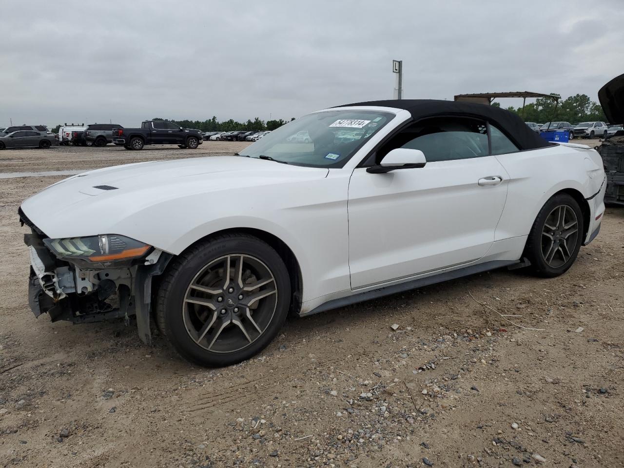 1FATP8UH9K5149316 2019 Ford Mustang