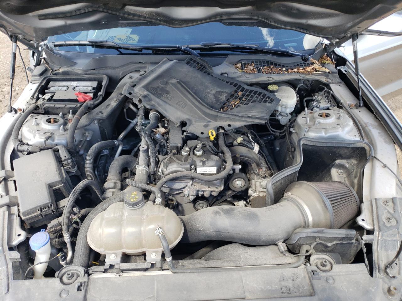 1FA6P8THXM5115225 2021 Ford Mustang