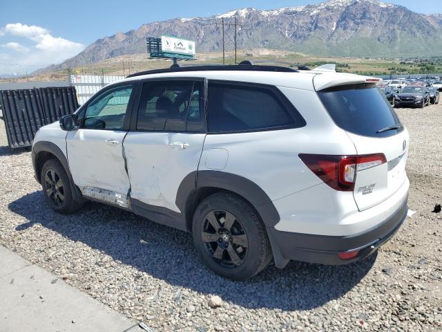 2022 HONDA PILOT TRAI 5FNYF6H84NB059480