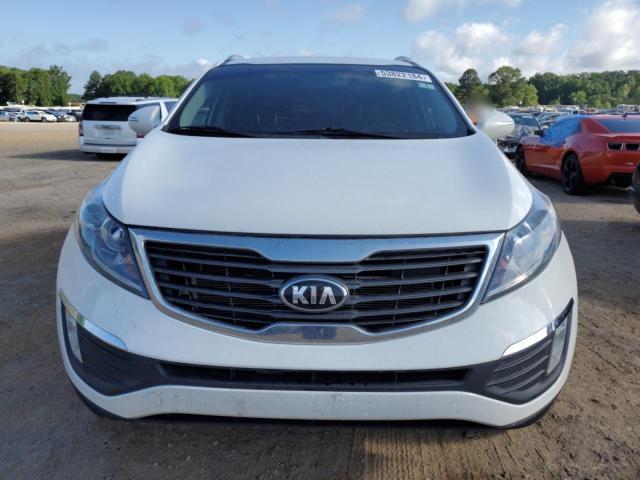 2013 Kia Sportage Ex VIN: KNDPC3A23D7423207 Lot: 53822184