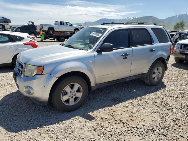 FORD ESCAPE XLT 2010 white  gas 1FMCU0D79AKA44721 photo #1