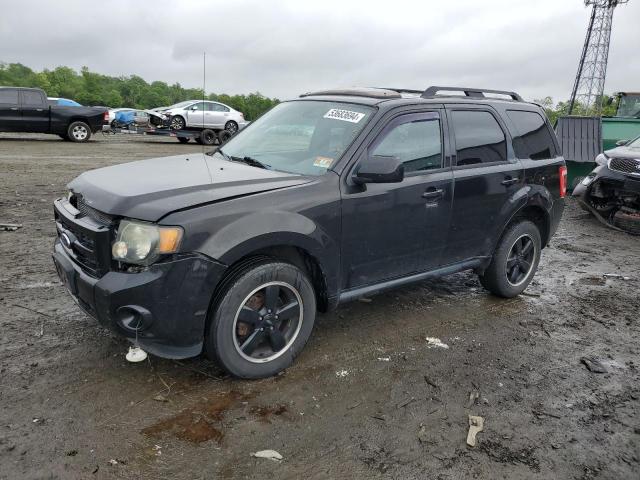 2011 FORD ESCAPE XLT 2011