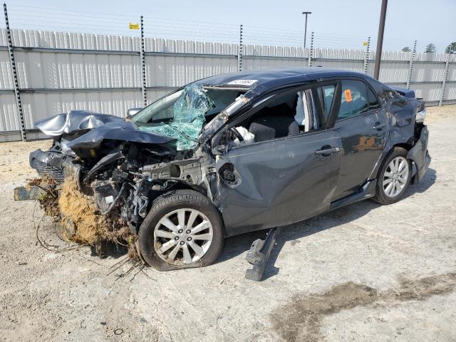 2010 Toyota Corolla Base VIN: 2T1BU4EE6AC454639 Lot: 54218664