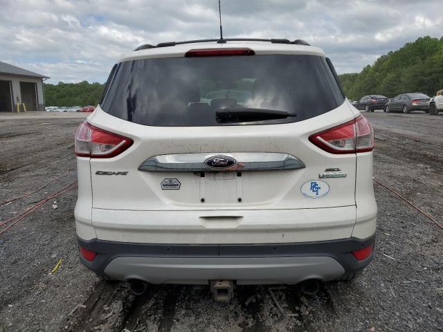 2013 Ford Escape Sel VIN: 1FMCU0H96DUA94903 Lot: 55315794