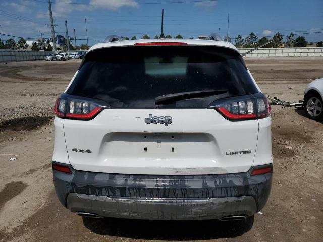 2019 Jeep Cherokee Limited VIN: 1C4PJMDX7KD251748 Lot: 54138454