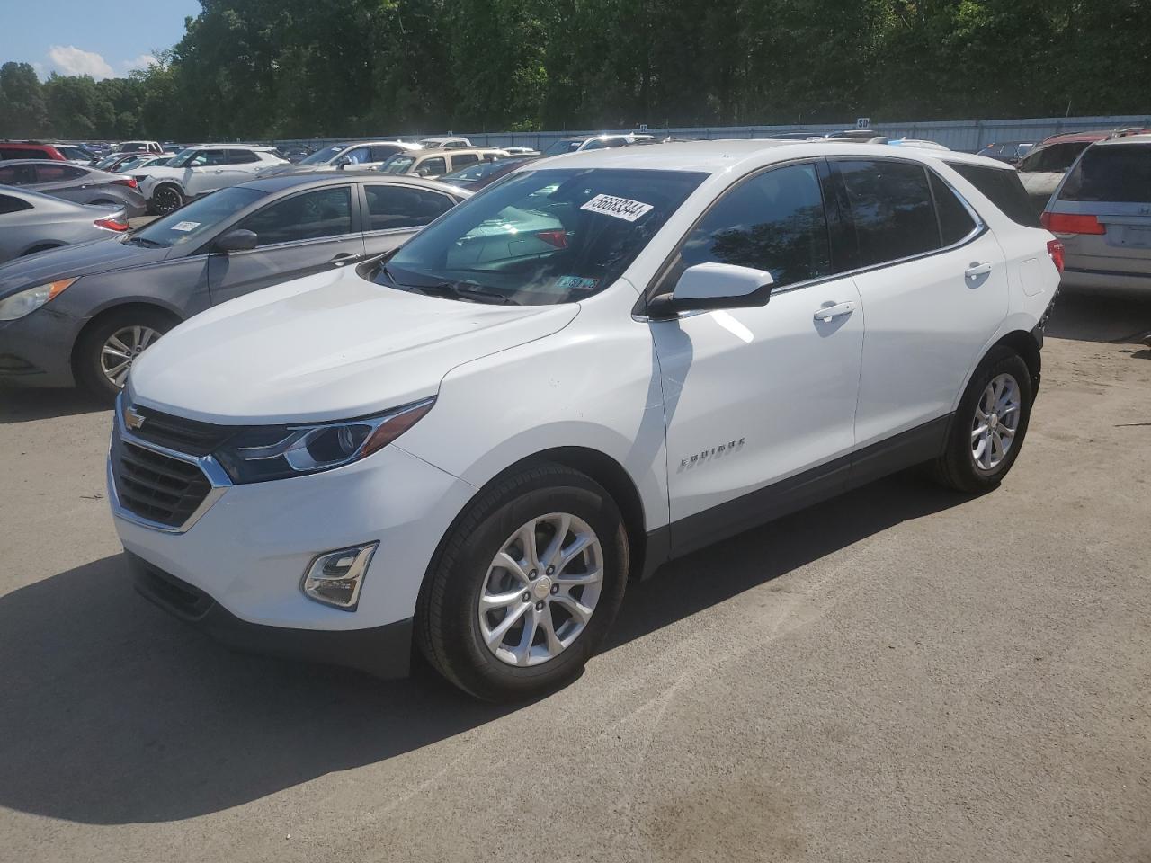 Lot #2823248006 2019 CHEVROLET EQUINOX LT