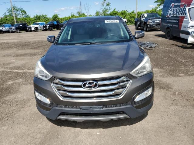 2013 Hyundai Santa Fe Sport VIN: 5XYZUDLB5DG017800 Lot: 56238024