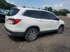 HONDA PILOT EXL photo