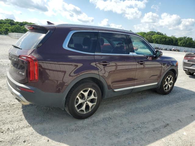 2020 Kia Telluride Ex VIN: 5XYP34HC6LG025303 Lot: 54741744