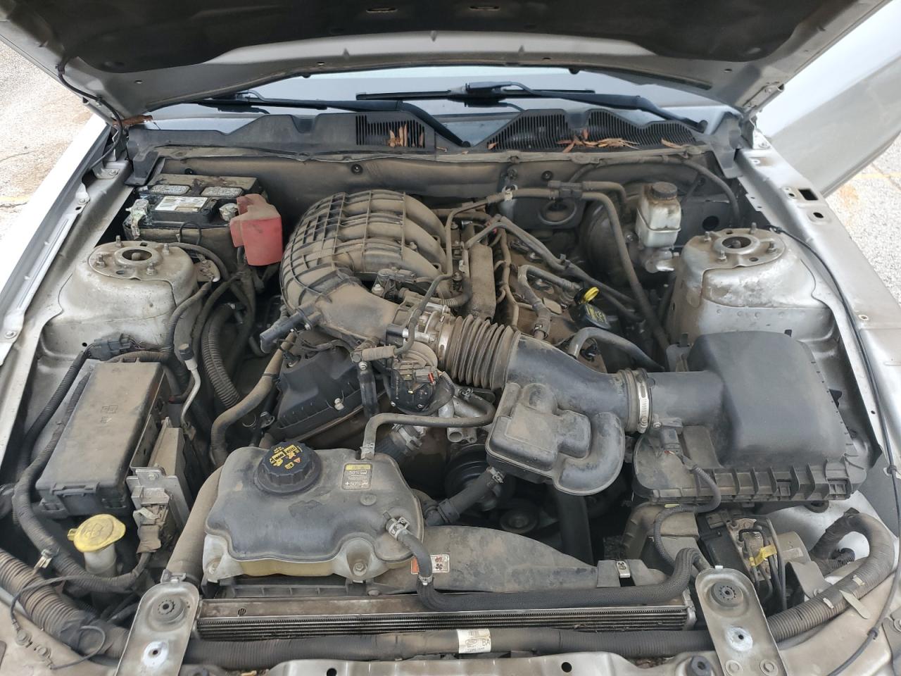 1ZVBP8AM9B5145917 2011 Ford Mustang