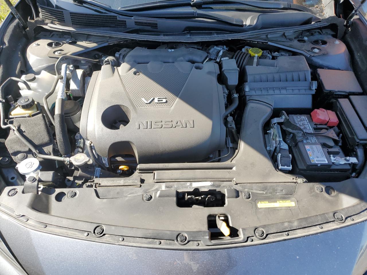 1N4AA6CV2PC511221 2023 Nissan Maxima Sv