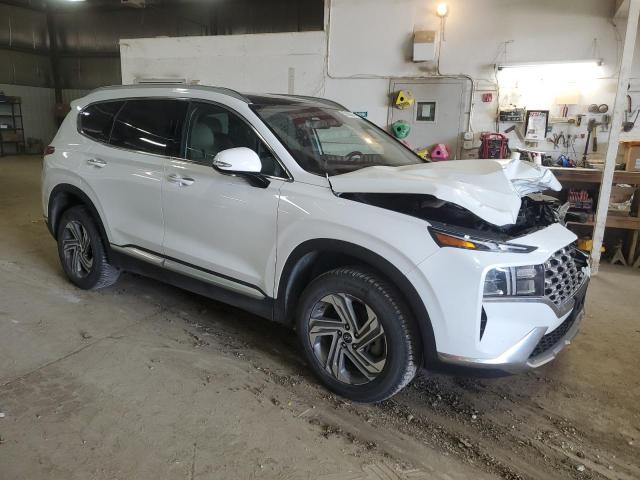 2021 Hyundai Santa Fe Sel VIN: 5NMS3DAJXMH309897 Lot: 53985614