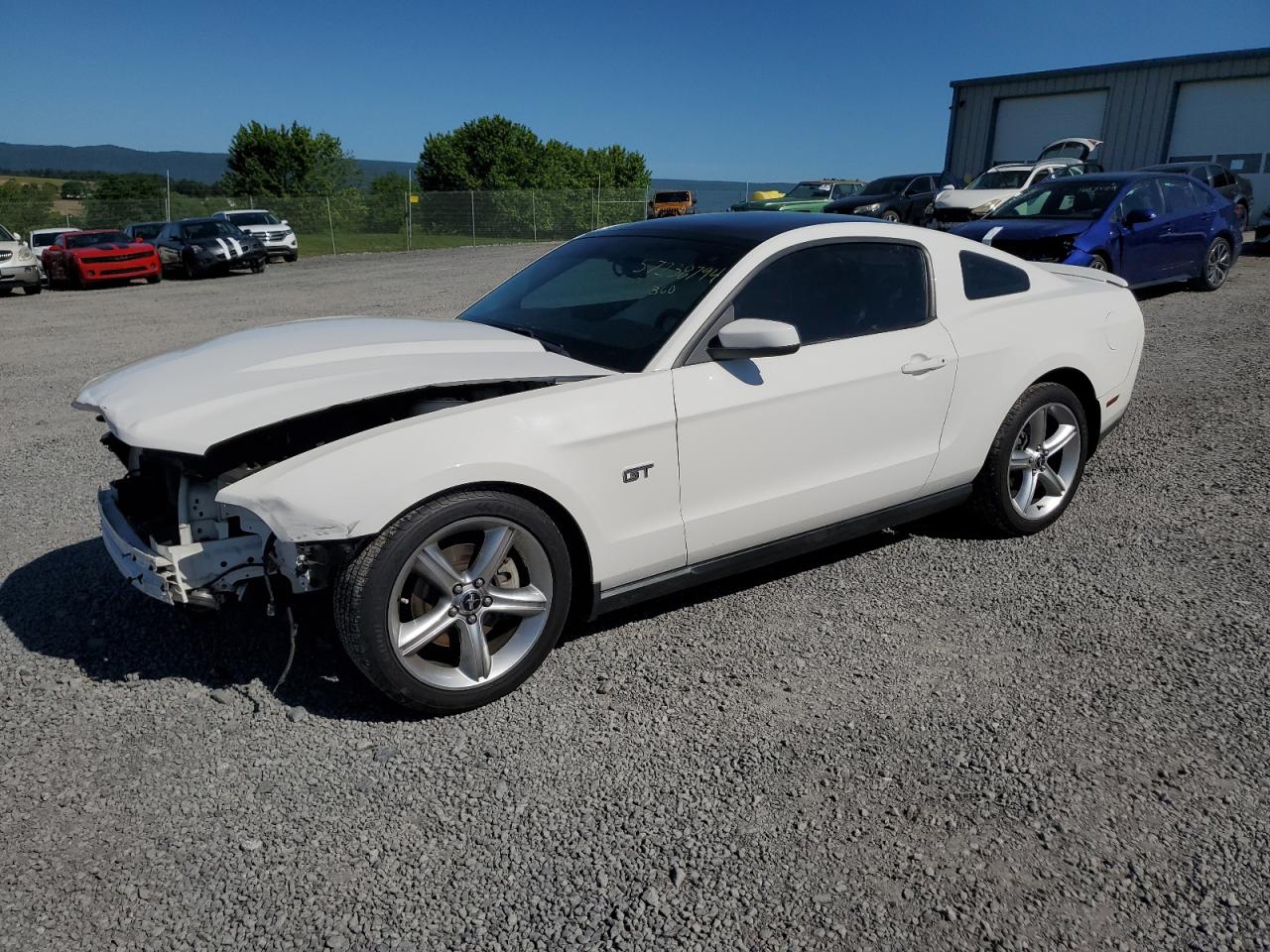 1ZVBP8CH3A5100602 2010 Ford Mustang Gt