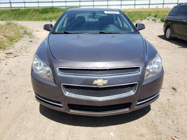 2011 Chevrolet Malibu 1Lt VIN: 1G1ZC5E19BF118229 Lot: 55739864