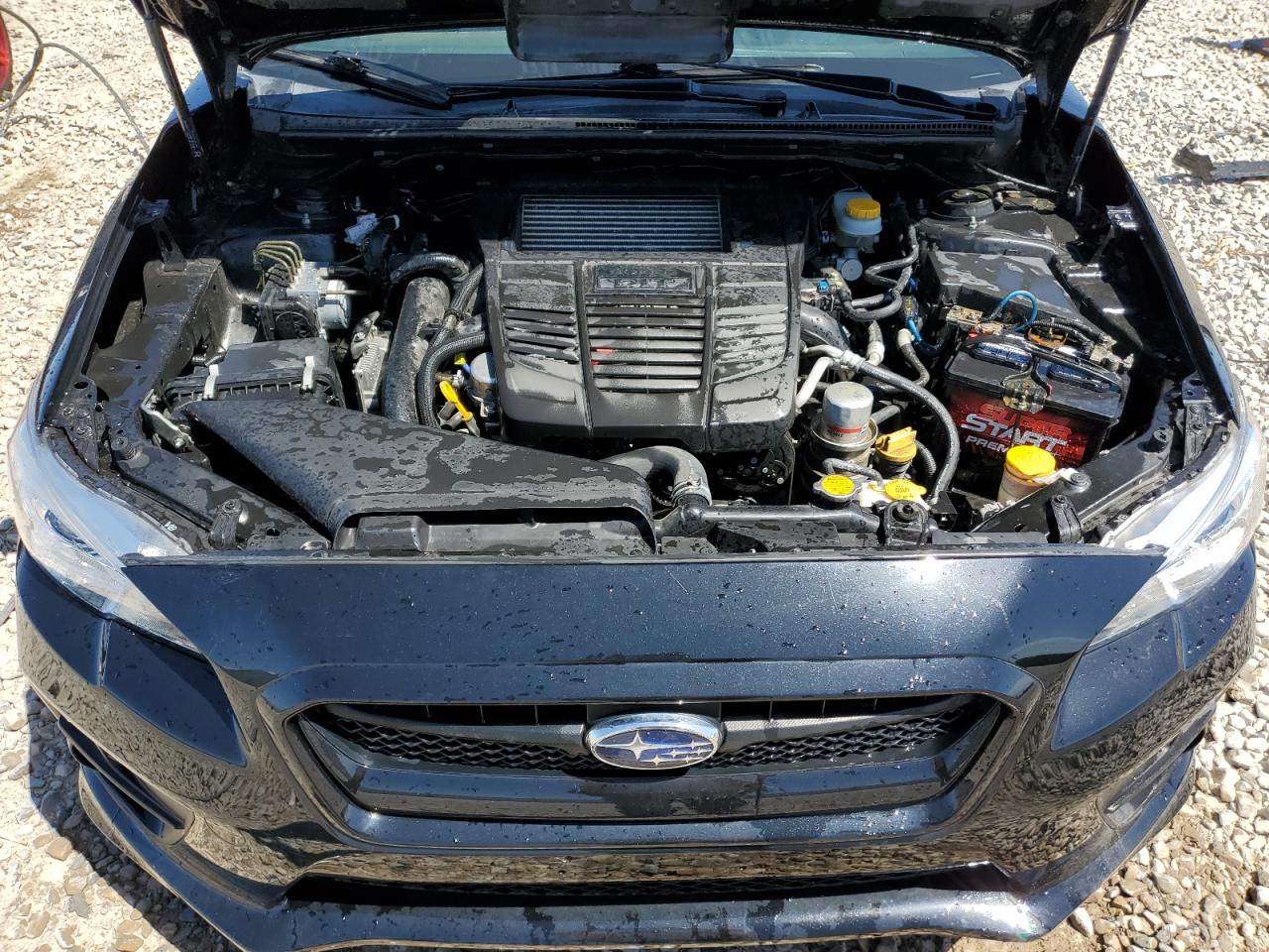 JF1VA1E61H9806271 2017 Subaru Wrx Premium