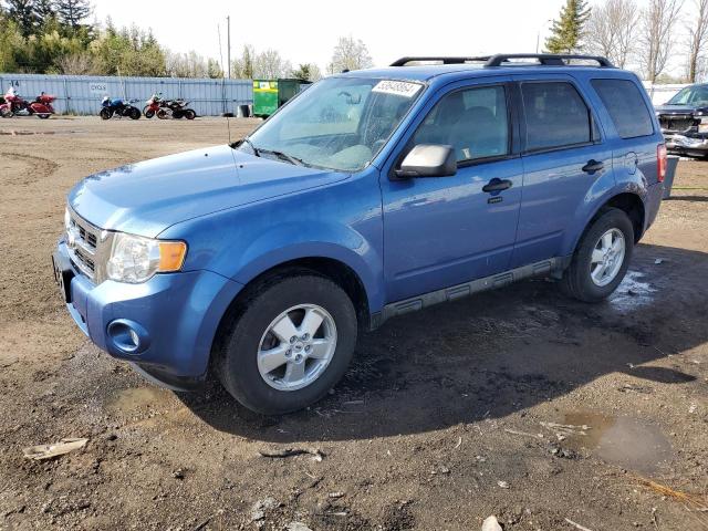 2010 Ford Escape Xlt VIN: 1FMCU9DG2AKB06206 Lot: 53648864